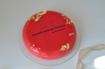 Торт для команды №3005