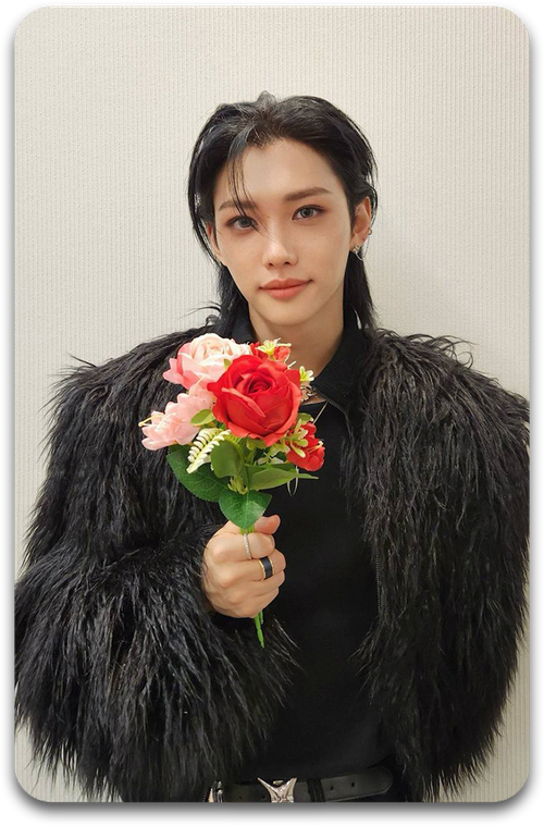 Карта / STRAY KIDS #2649