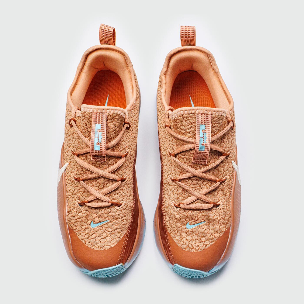 Кроссовки Nike LeBron TR 1 Better With Age