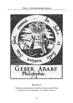 Соль и Алхимическая душа (PDF)