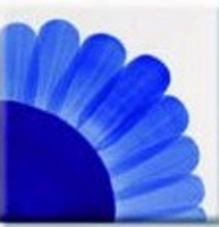 HCT-434 ROYAL BLUE/КОРОЛЕВСКИЙ СИНИЙ