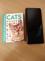 Cats (Pocket Eyewitness)