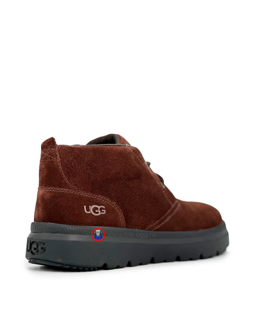 MENS BURLEIGH CHUKKA Chocolate