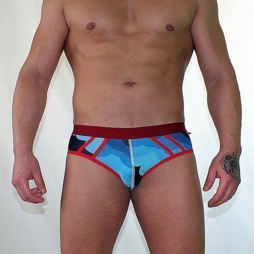 Трусы мужские брифы синие с принтом Van Baam 38127