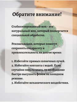 Кашпо с натуральным стабилизированное мхом