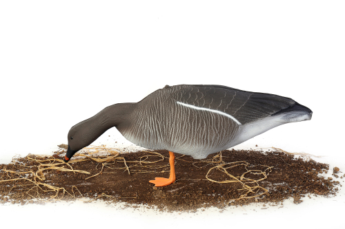 Гусь гуменник S-XPE мод. G6112X