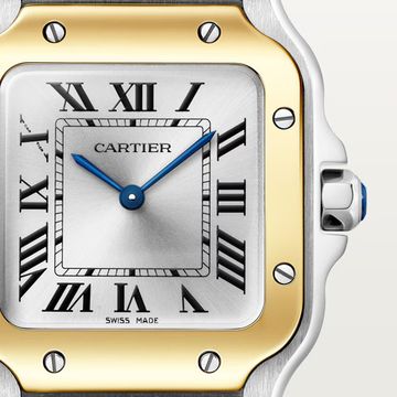 Часы Cartier Santos de Cartier в стальном корпусе с желтым золотом