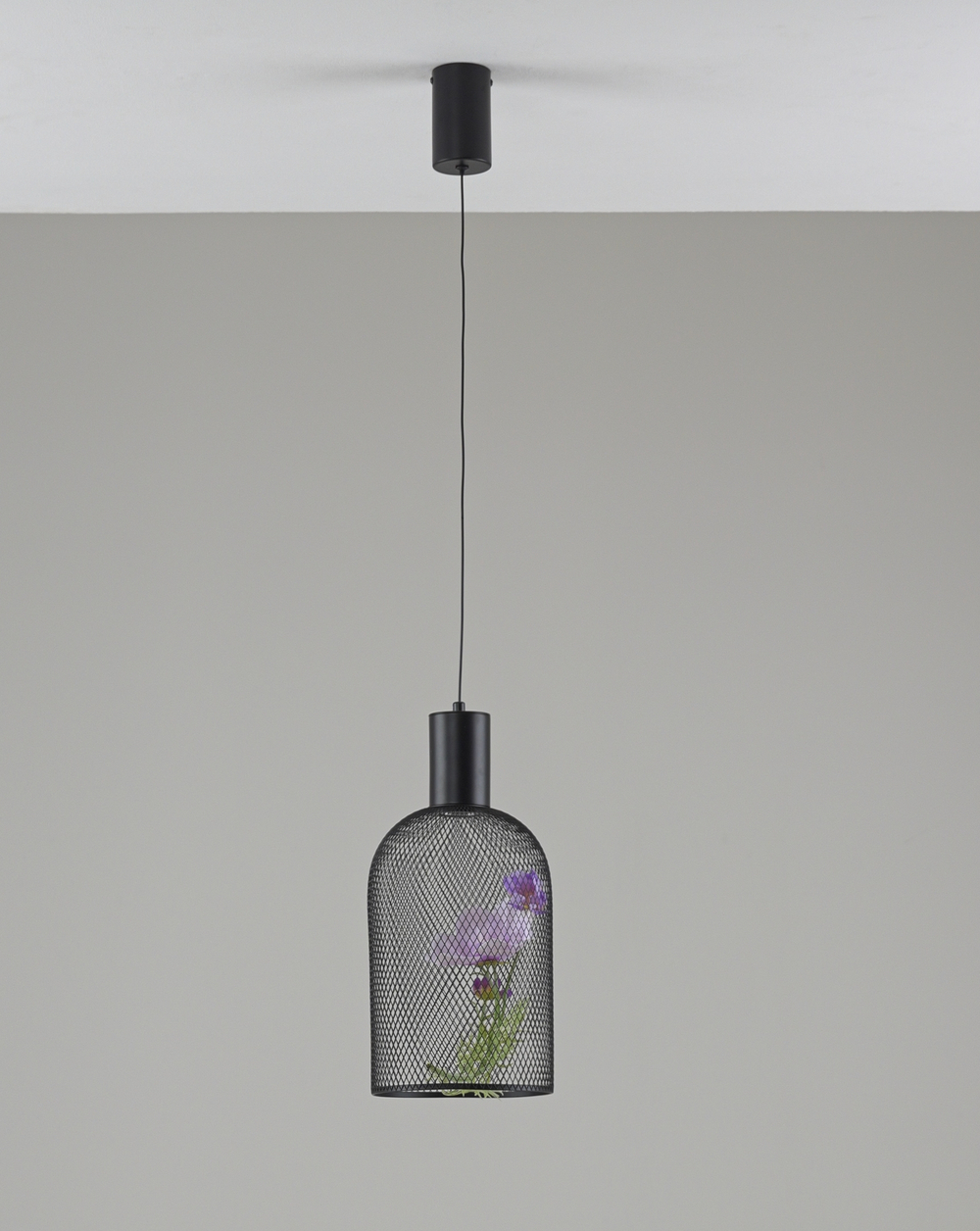 Светильник подвесной светодиодный Moderli V11874-PL Ophelia