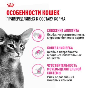 Сухой корм Royal Canin Protein Exigent для привередливых взрослых кошек от 1 года