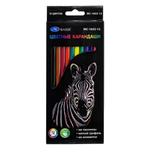 Карандаши цветные, Basir, пластиковые, серия "Зебра", цветная упаковка, 12 шт