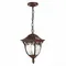 SL083.703.01 Светильник уличный подвесной ST-Luce Кофейный/Кофейный, Прозрачный E27 1*60W CHIANI