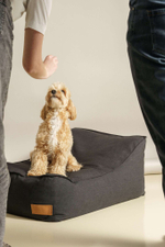 Лежанка "Пони-трамплини" Черная