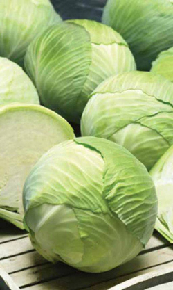 Капуста б/к Валентина F1 0,2г  Мировые Семена VITA GREEN