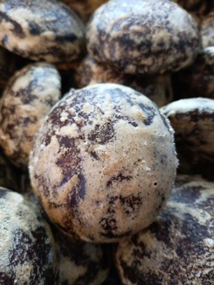 Пряники Имбирные