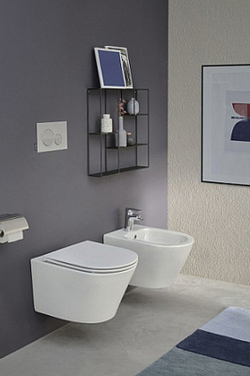 Унитаз c инсталляцией Jacob Delafon Rodin+, сиденье тонкое микролифт, клавиша черная круг E21748RU-00