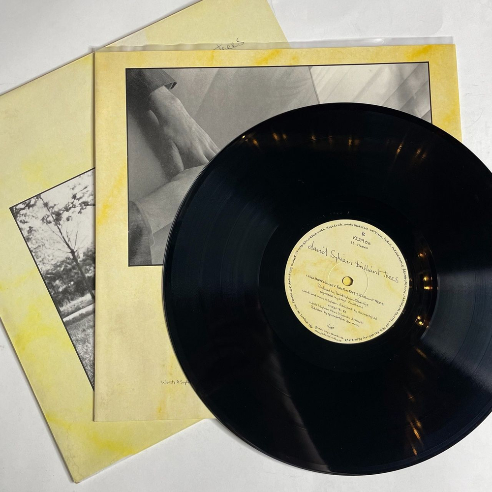 Винтажная виниловая пластинка LP David Sylvian Brilliant Trees (UK 1984)