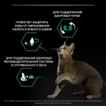 Сухой корм с кроликом для взрослых стерилизованных кошек Pro Plan, 400гр+200гр