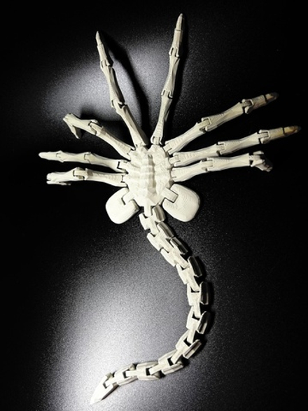 Лицехват из вселенной "Чужие"