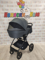 Коляска модульная Rant Teo Graphite