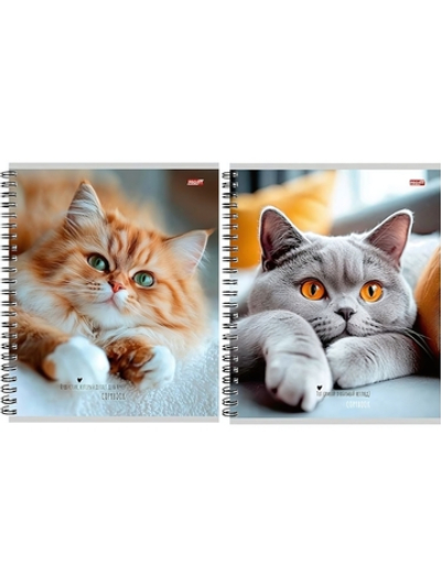 Тетрадь А5 48л. клетка "Милые коты-1" гребень, мелов.облистер (Проф-Пресс)