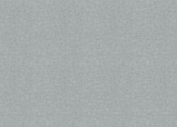 Otaru / Kumano / Surface