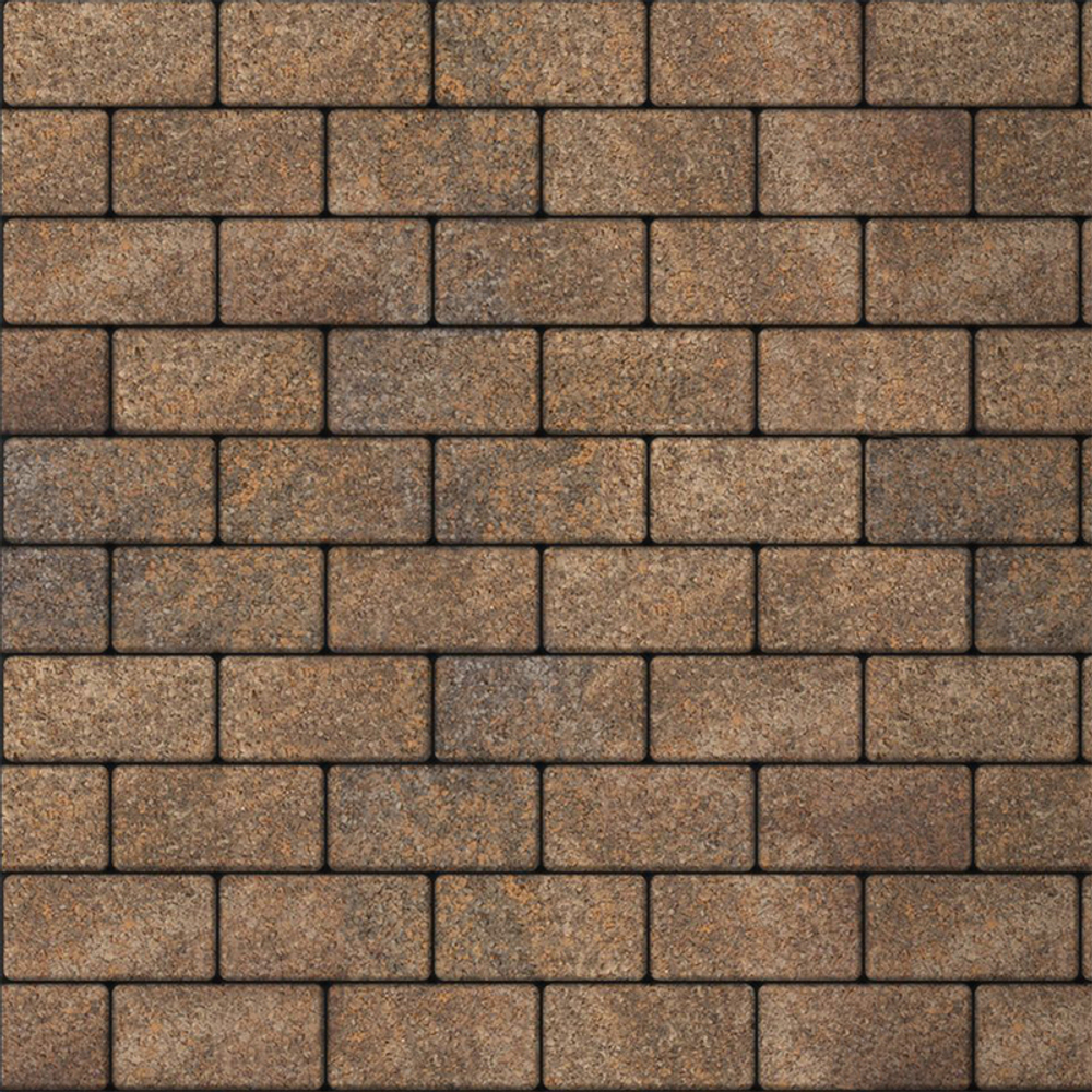 Тротуарная плитка ПРЯМОУГОЛЬНИК 200x100 мм - Листопад гранит Клен