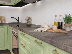 Ницца-04 Дуб оливковый