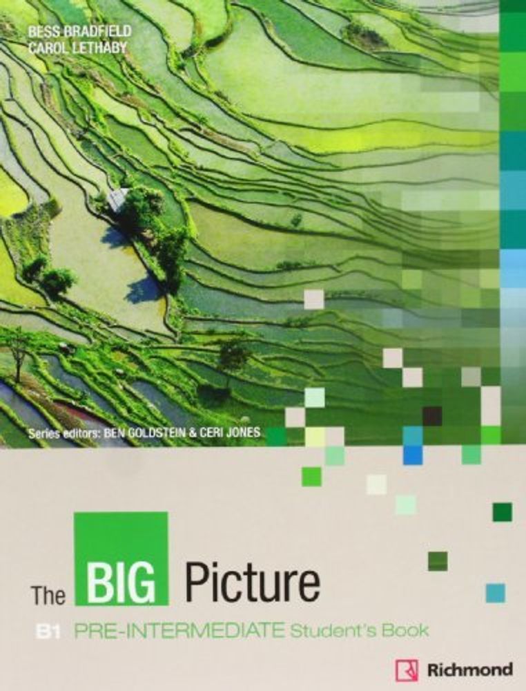 The Big Picture Pre-Int SB