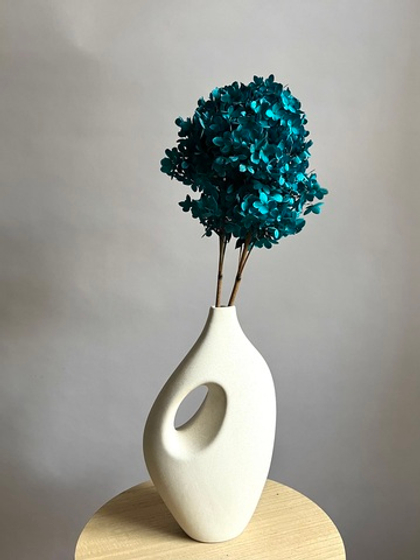 Гортензия стабилизированная изумрудная крупнолистная