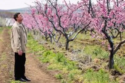 Сады Рыжевских - натуральные фрукты и ягоды