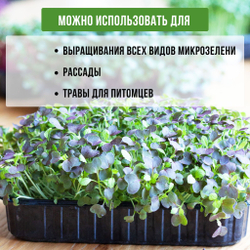 Лоток для выращивания свежей микрозелени / 18*11*5,5 см / 20 шт.