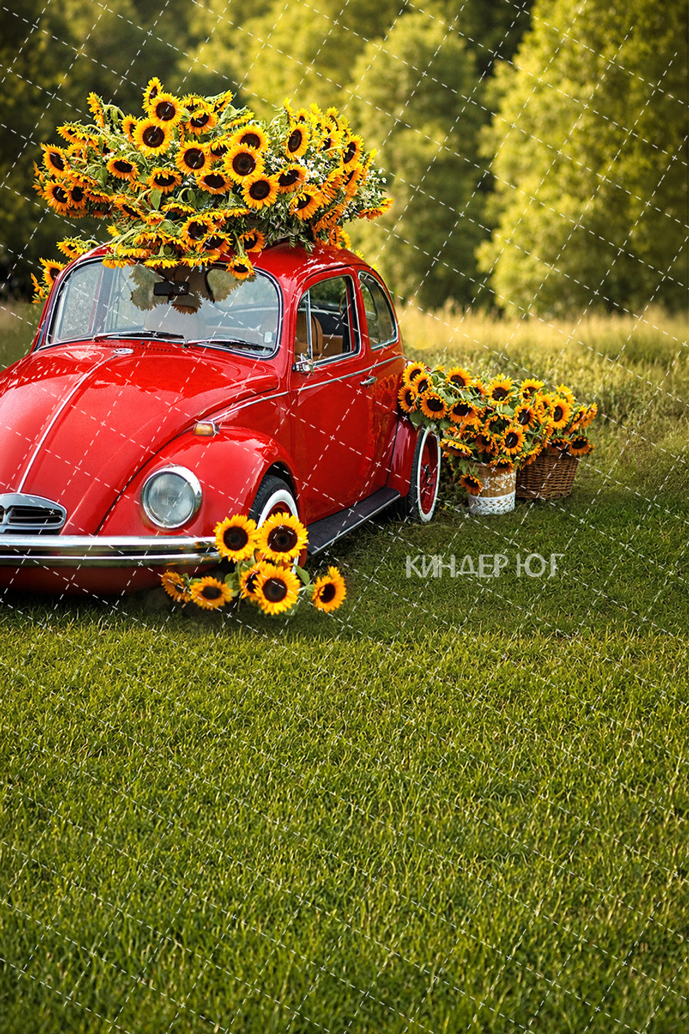 Фотофон "Подсолнухи и красный автомобиль" арт. ФФ906-88