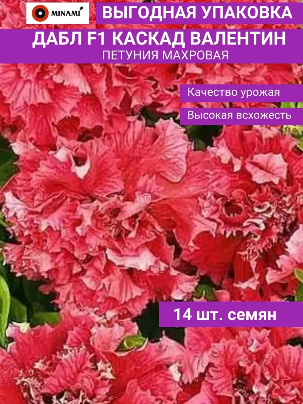 Петуния махровая Дабл F1 Каскад Валентин