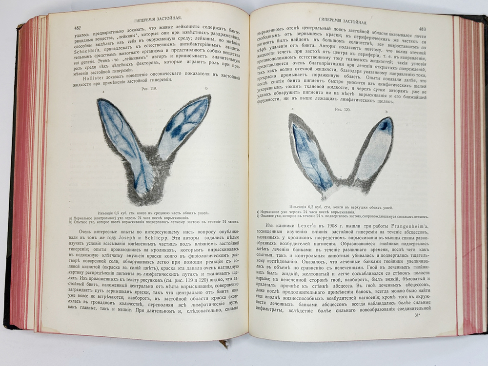 Eulenburg A., проф. Эйленбург А  Реальная энциклопедия практической медицины в XVII томах. 1909-1915