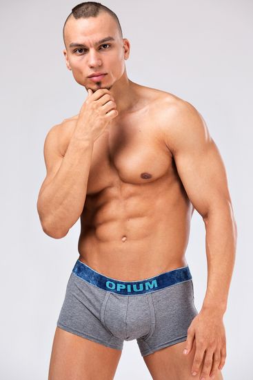 Мужские трусы R-109 Melange Grey