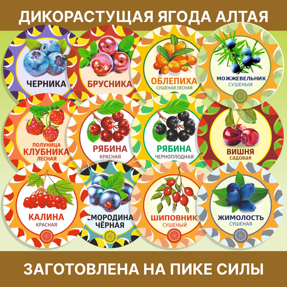 Белый гриб сушеный.