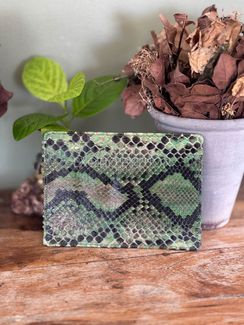 Обложка на паспорт из кожи питона AC-143