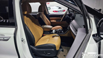 Kia Carnival (Sedona) 4 Generation 9-и местный Noblesse (10.2020)