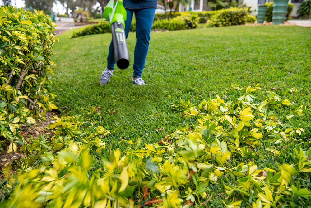Воздуходув аккумуляторный Greenworks Арт. 2404807UA,  c 1хАКБ 2Ач и ЗУ