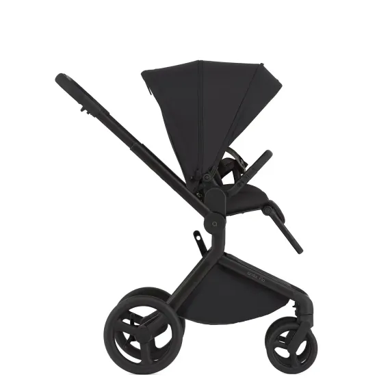 Коляска ANEX Flo 3 в 1 Lungo
