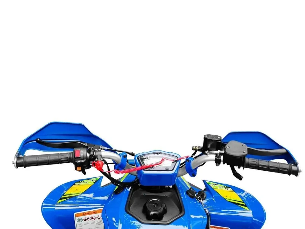Квадроцикл YACOTA TYPHOON 250