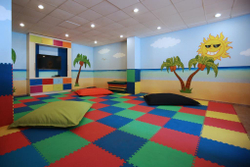 Будо-мат (татами) односторонний (1 плита 100x100x2 см, 1кв.м./уп)