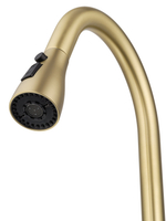 Смеситель для кухни с выдвижным изливом WONZON & WOGHAND, Брашированное золото (WW-AE54123-BG)