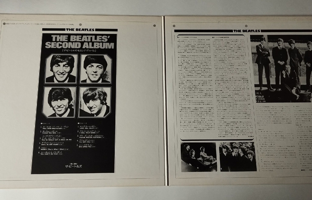 Винтажная виниловая пластинка LP The Beatles Second Album (Japan 1976) (No Obi) I Call Your Name