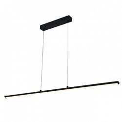 Подвесной светильник Escada 170001 100001/1PL Black