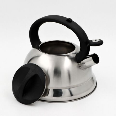 Чайник со свистком из нержавеющей стали Доляна «Рио», 2,8 л, фиксированная ручка, цвет хромированный (Цвет: не задано)