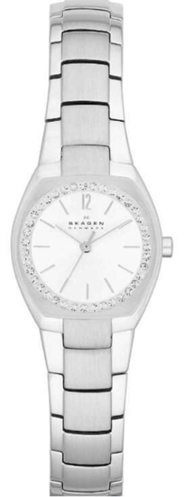 Наручные часы Skagen SKW2110