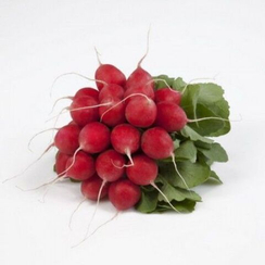 ВАЛЕРИ F1 семена редиса (Rijk Zwaan | Alexagro)