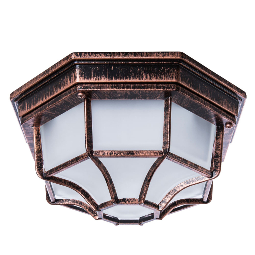 Уличный накладной светильник Arte Lamp A3100PL-1AC