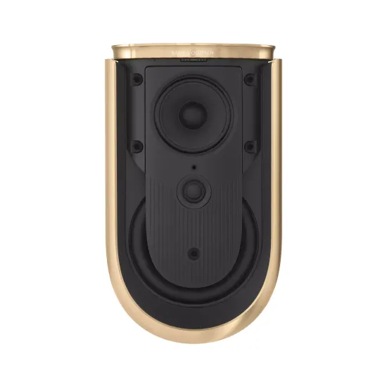 Bang & Olufsen Beolab 8 Gold Tone/Oak, TS